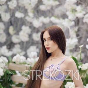 Шлюха Лолита 22723