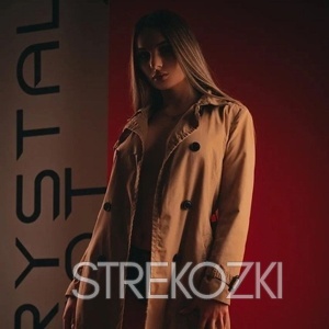 Шлюха Доля 24392