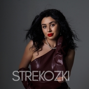 Шлюха Ника 28410