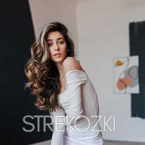 Шлюха Лейла 22948