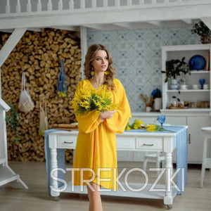 Шлюха Карина 28699