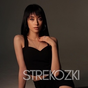 Шлюха Лика 22379