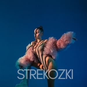 Шлюха Аня 28493