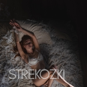 Шлюха Ника 28414