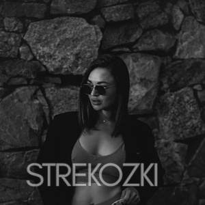 Шлюха Лика 22391