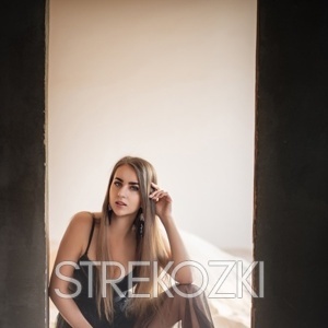 Шлюха Ира 27454